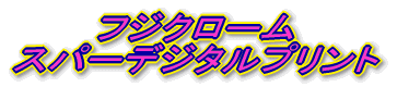 �t�W�N���[�� �X�p�[�f�W�^���v�����g