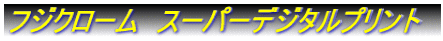 �t�W�N���[���@�X�[�p�[�f�W�^���v�����g