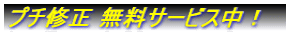 �v�`�C�� �����T�[�r�X���I